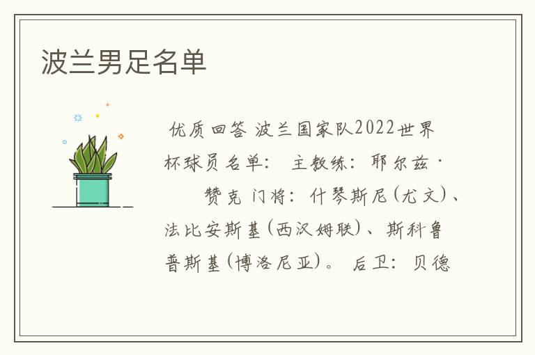 波兰男足名单