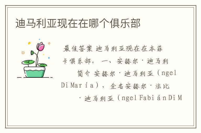 迪马利亚现在在哪个俱乐部