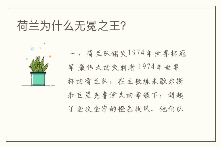荷兰为什么无冕之王?
