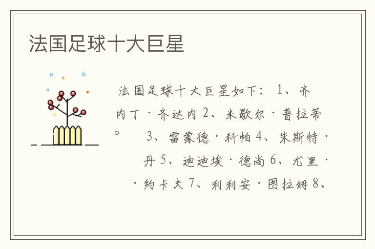 法国足球十大巨星