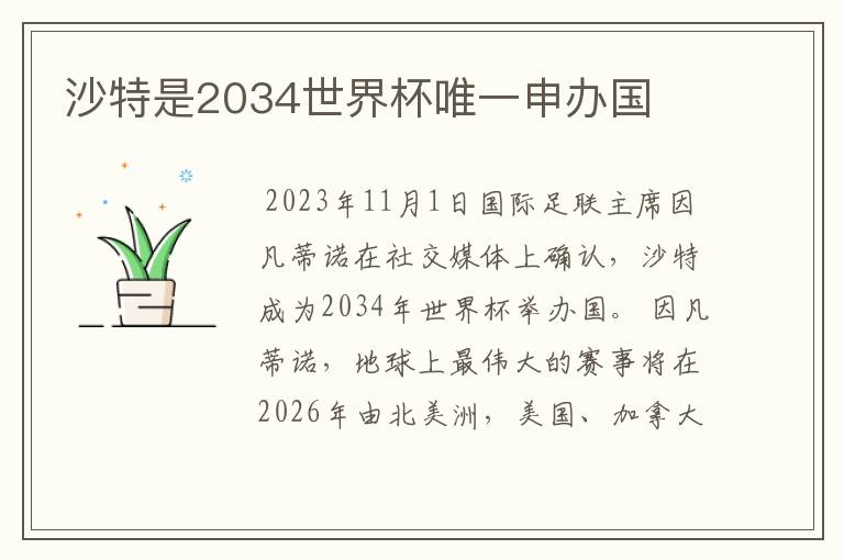 沙特是2034世界杯唯一申办国