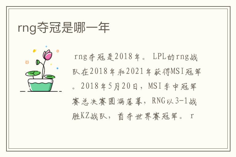 rng夺冠是哪一年