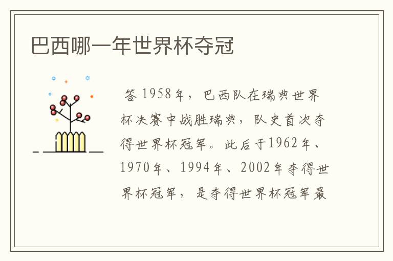 巴西哪一年世界杯夺冠