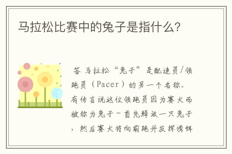 马拉松比赛中的兔子是指什么?