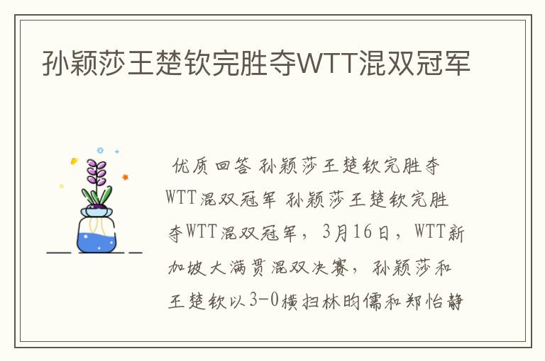 孙颖莎王楚钦完胜夺WTT混双冠军