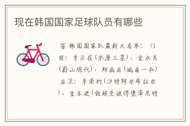 现在韩国国家足球队员有哪些
