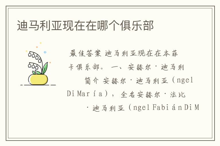 迪马利亚现在在哪个俱乐部