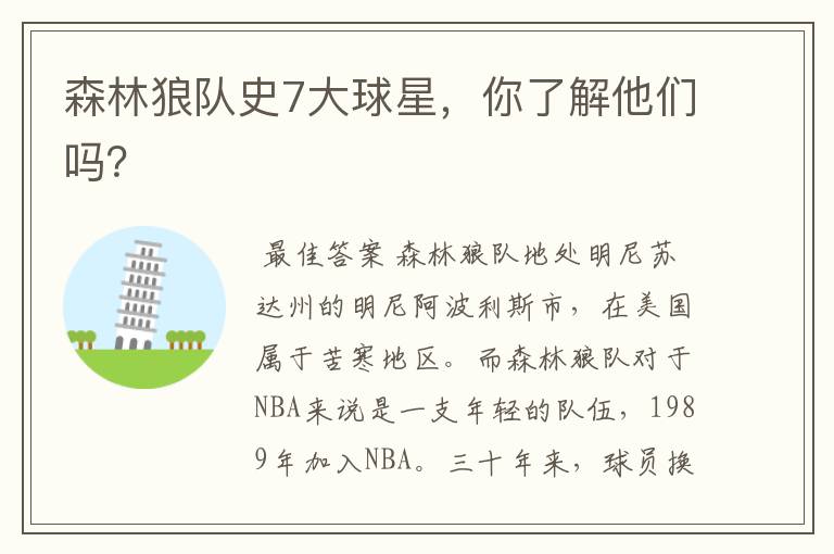 森林狼队史7大球星,你了解他们吗?