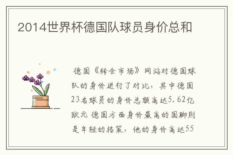 2014世界杯德国队球员身价总和
