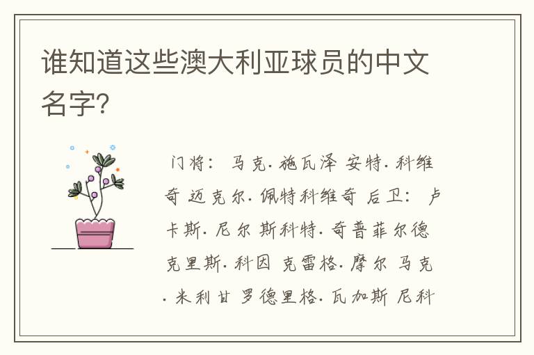 谁知道这些澳大利亚球员的中文名字?