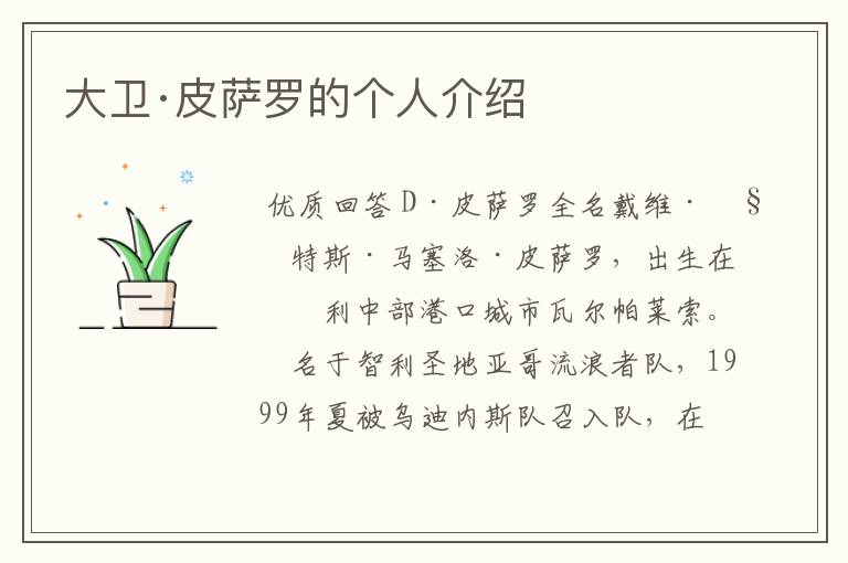 大卫·皮萨罗的个人介绍