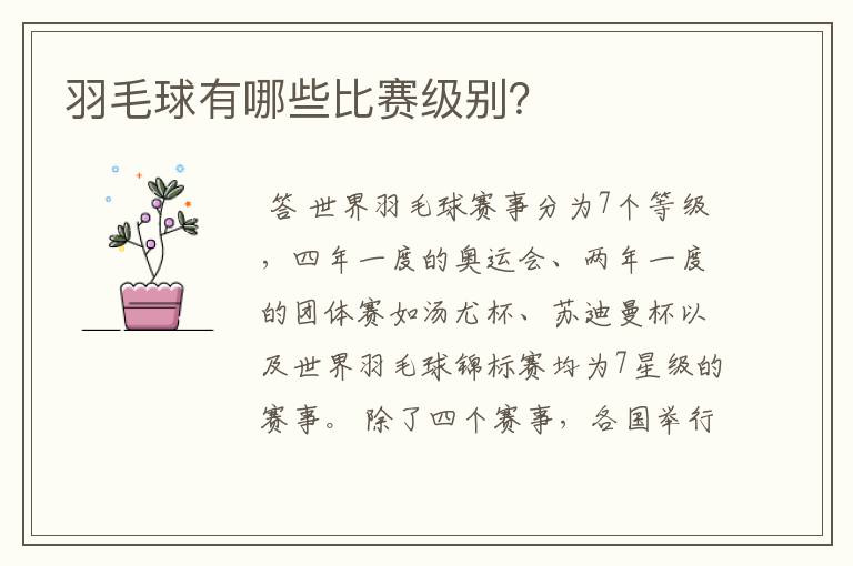 羽毛球有哪些比赛级别?