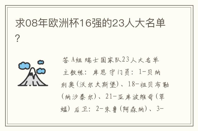 求08年欧洲杯16强的23人大名单?