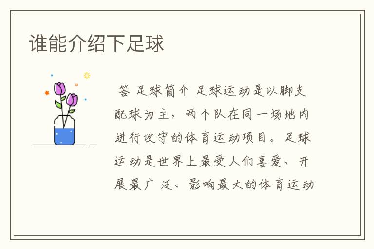 谁能介绍下足球