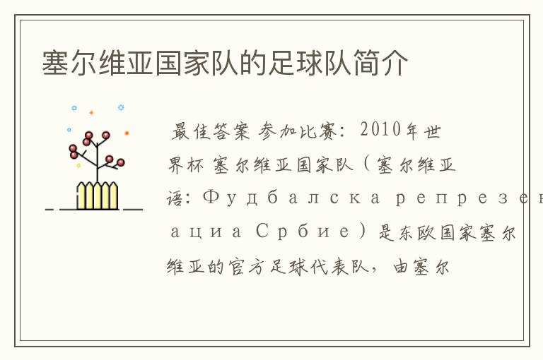 塞尔维亚国家队的足球队简介