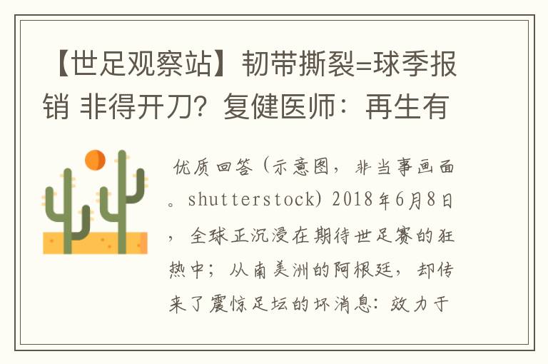 【世足观察站】韧带撕裂=球季报销 非得开刀?复健医师:再生有望