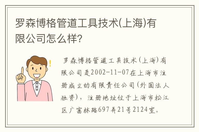 罗森博格管道工具技术(上海)有限公司怎么样？