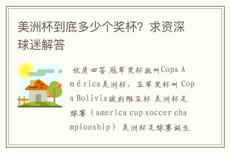 美洲杯到底多少个奖杯?求资深球迷解答