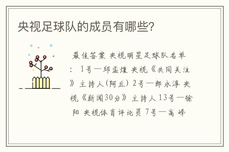 央视足球队的成员有哪些?