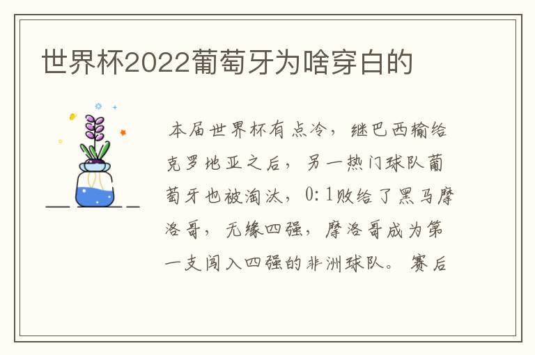 世界杯2022葡萄牙为啥穿白的
