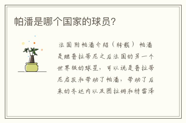 帕潘是哪个国家的球员?