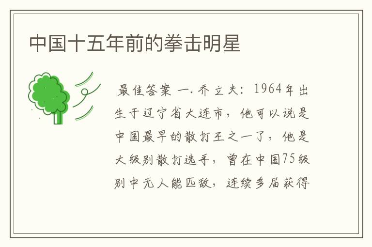 中国十五年前的拳击明星