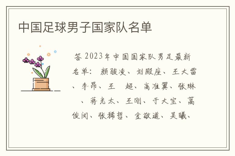 中国足球男子国家队名单