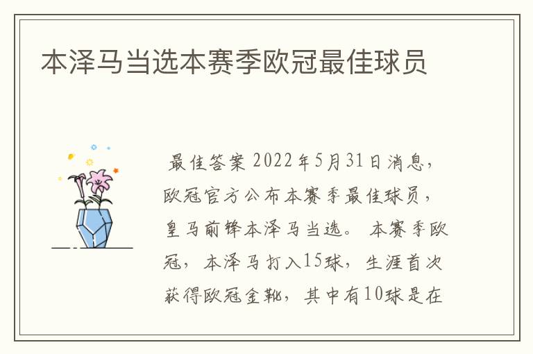 本泽马当选本赛季欧冠最佳球员