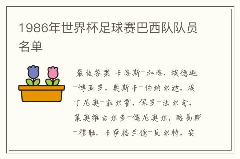 1986年世界杯足球赛巴西队队员名单