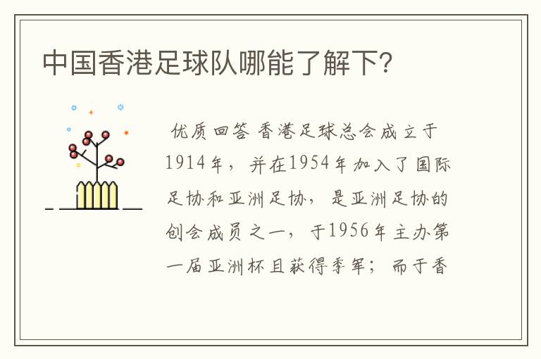 中国香港足球队哪能了解下?