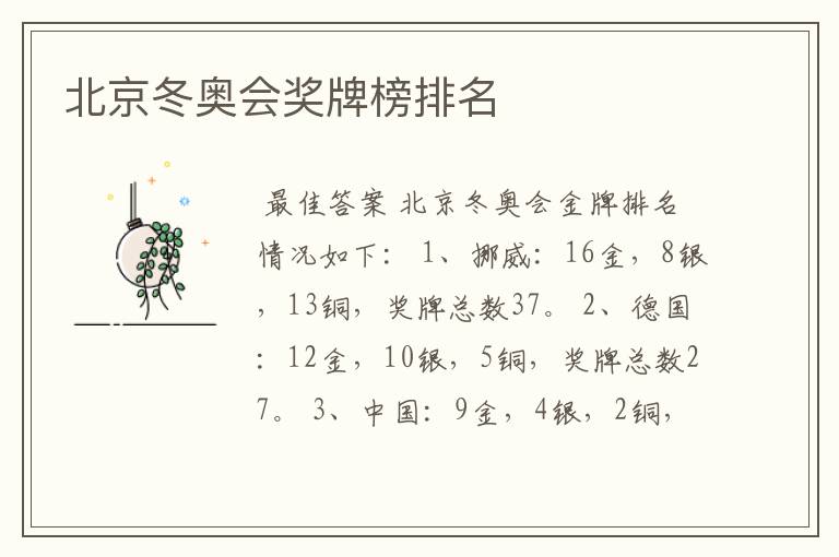 北京冬奥会奖牌榜排名