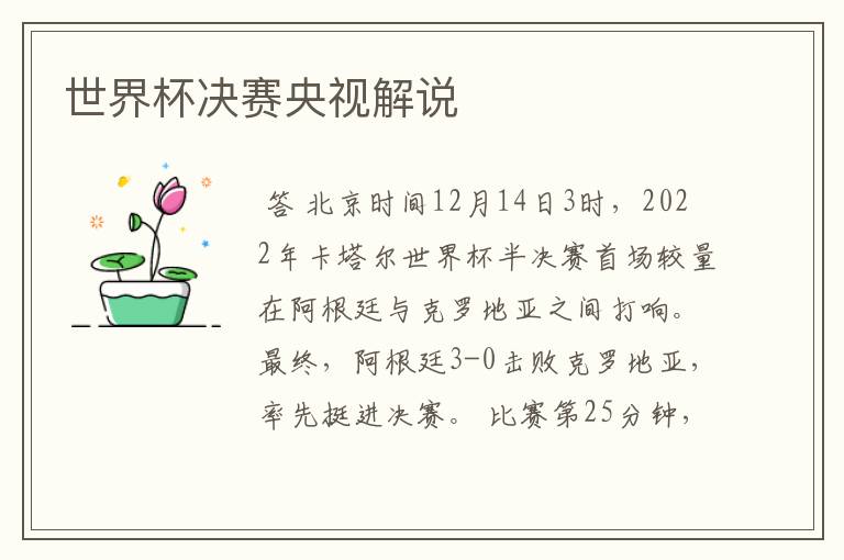 世界杯决赛央视解说
