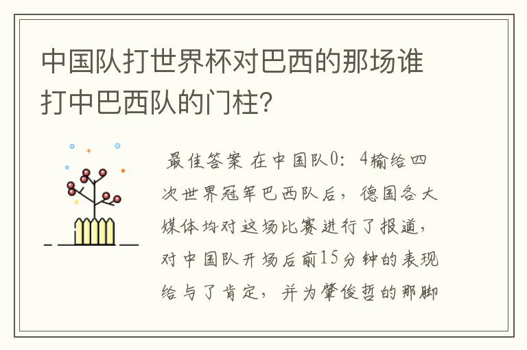 中国队打世界杯对巴西的那场谁打中巴西队的门柱?