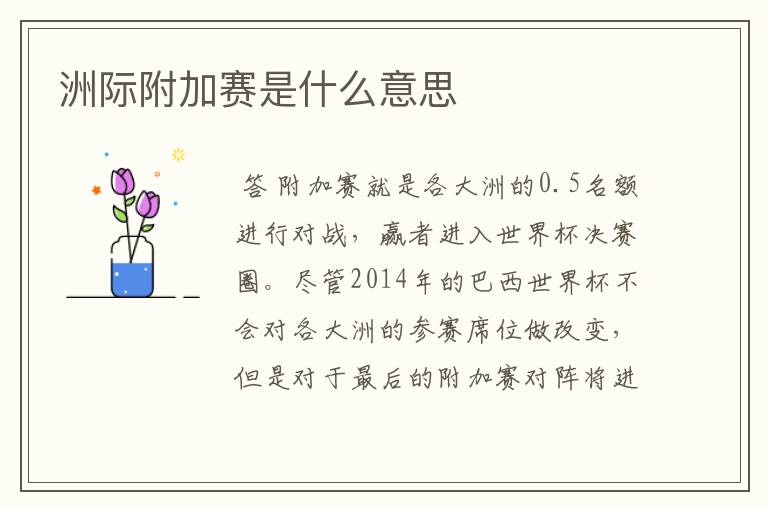 洲际附加赛是什么意思
