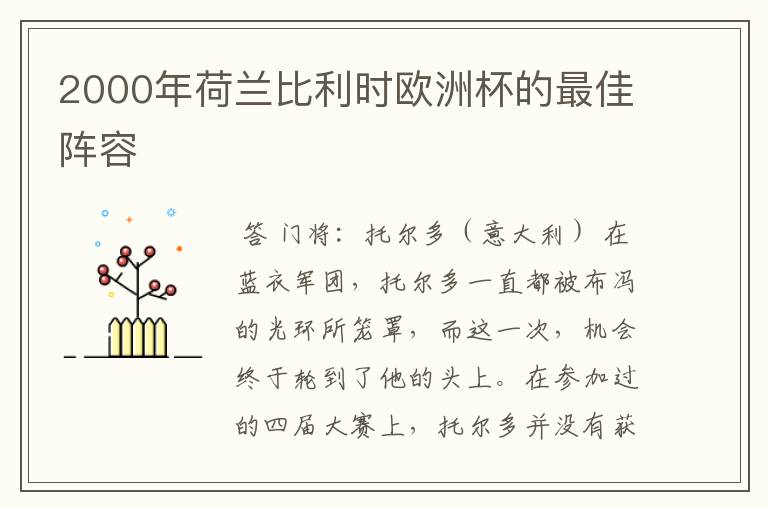 2000年荷兰比利时欧洲杯的最佳阵容