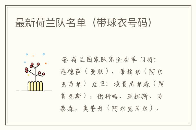 最新荷兰队名单（带球衣号码）