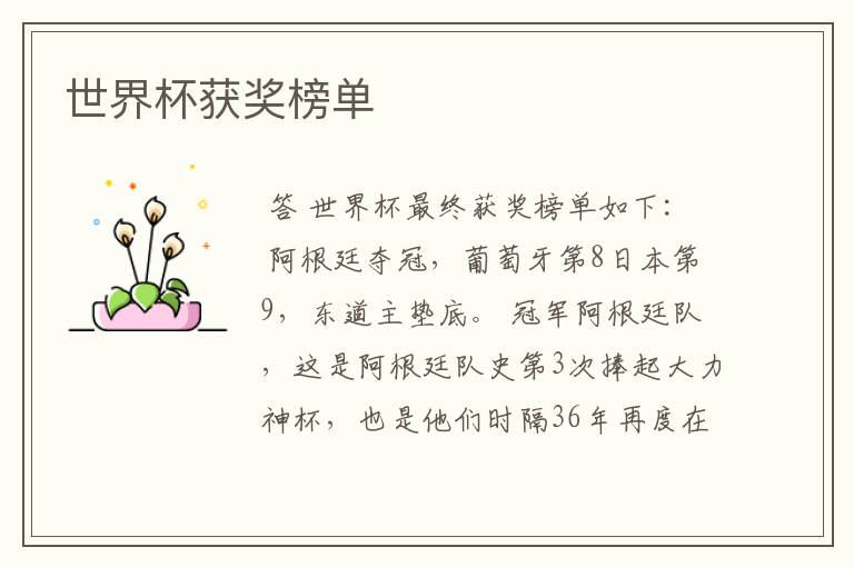 世界杯获奖榜单
