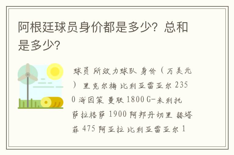 阿根廷球员身价都是多少?总和是多少?