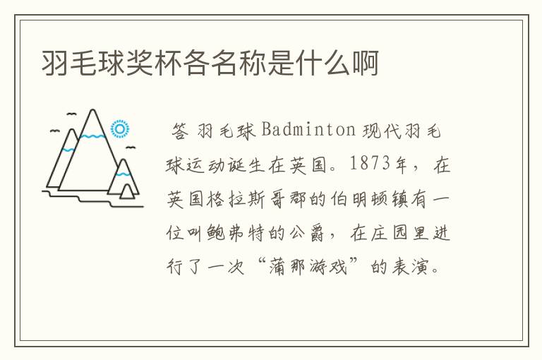 羽毛球奖杯各名称是什么啊