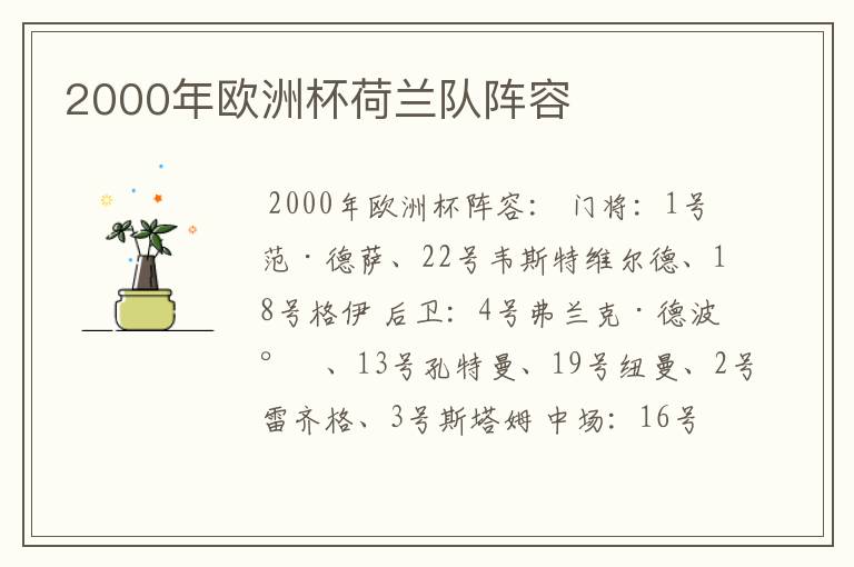 2000年欧洲杯荷兰队阵容