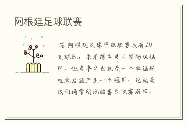 阿根廷足球联赛