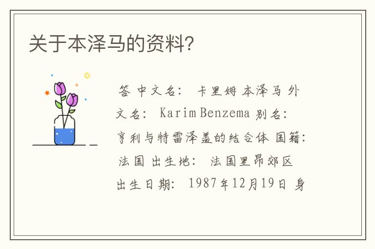 关于本泽马的资料?