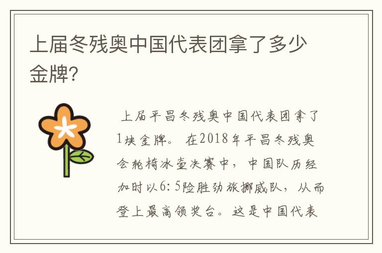 上届冬残奥中国代表团拿了多少金牌？