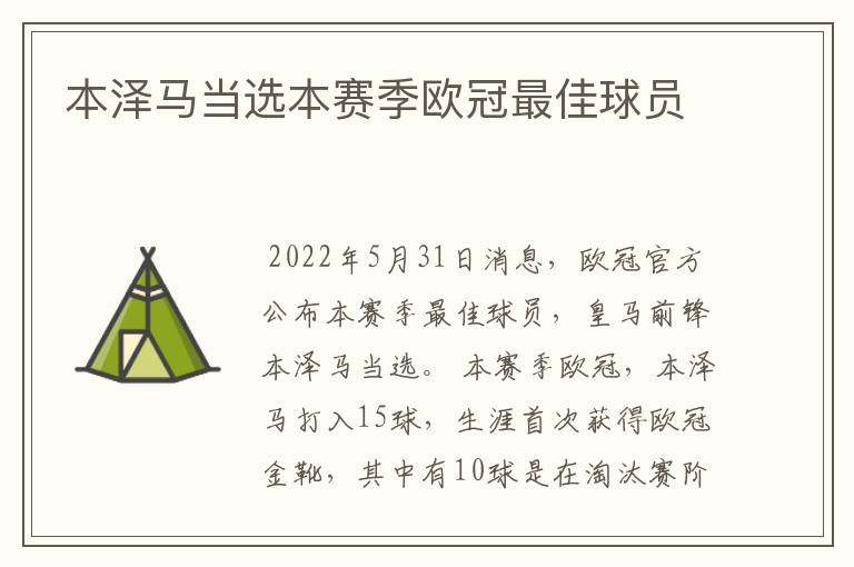 本泽马当选本赛季欧冠最佳球员