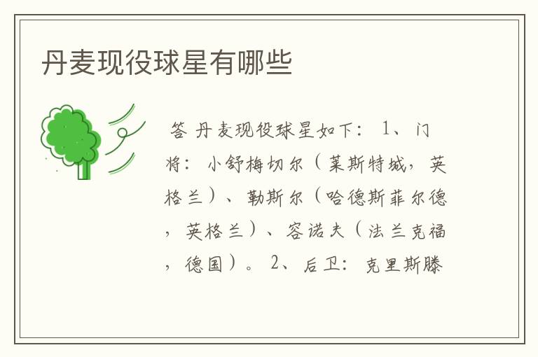 丹麦现役球星有哪些