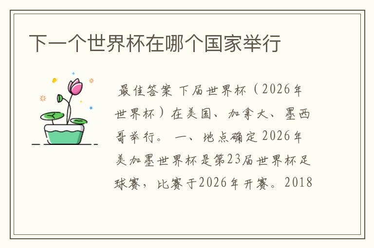 下一个世界杯在哪个国家举行