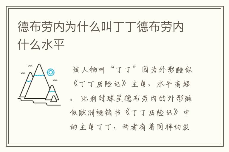 德布劳内为什么叫丁丁德布劳内什么水平