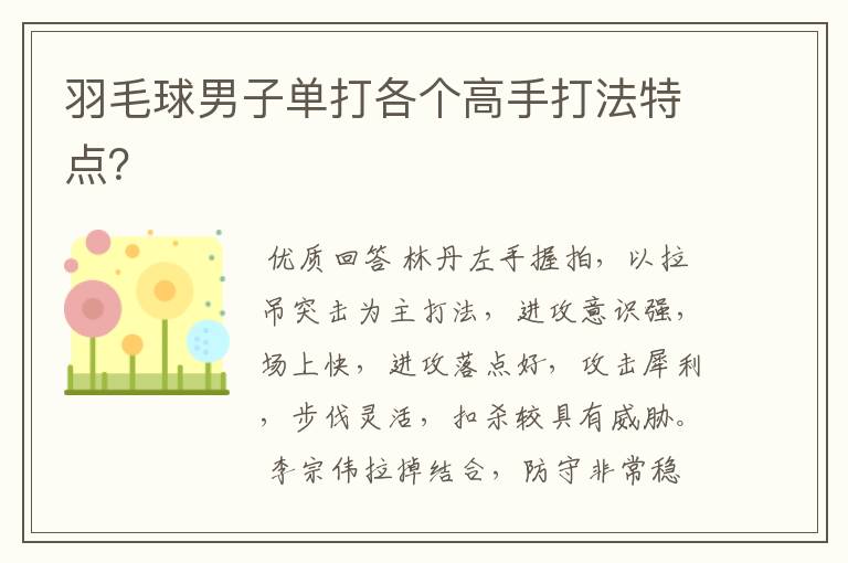 羽毛球男子单打各个高手打法特点？