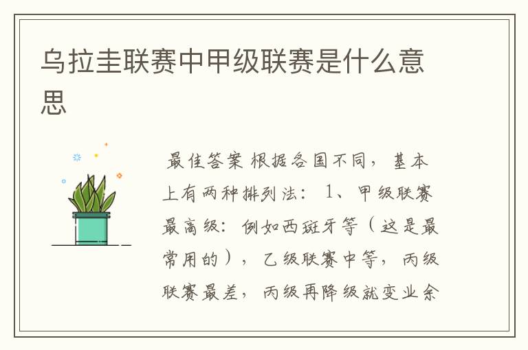 乌拉圭联赛中甲级联赛是什么意思