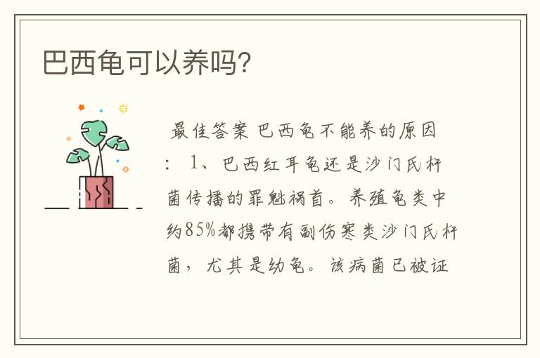 巴西龟可以养吗?